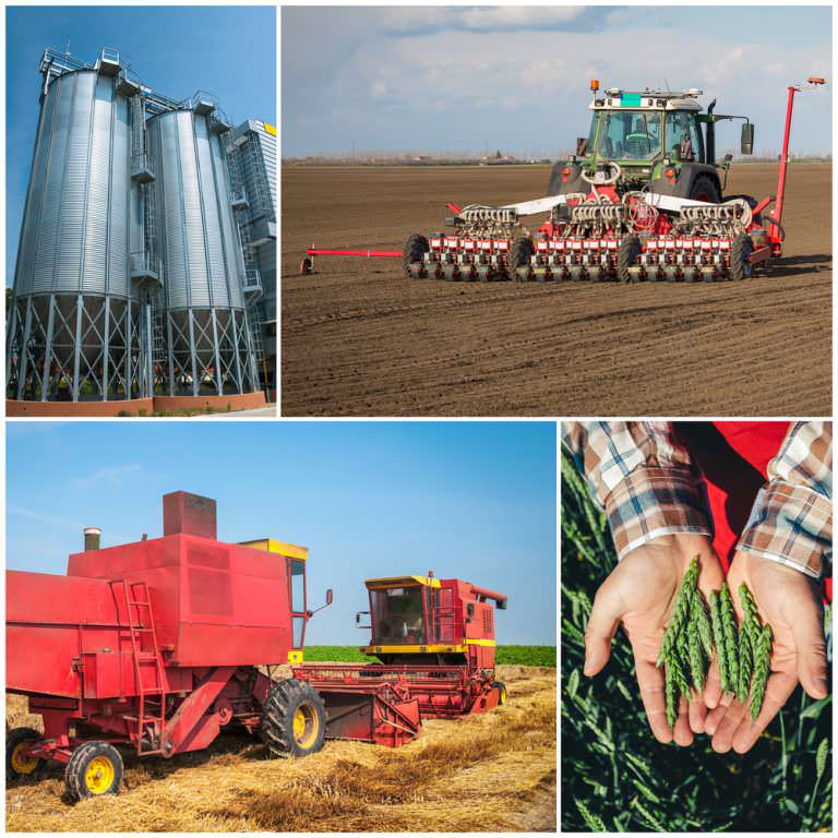 Engenharia Agronômica Saiba mais sobre o curso, salário e profissão.