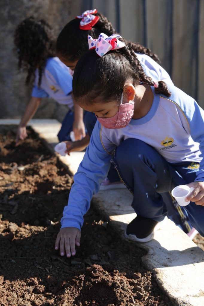 Crianças com sementes em um copinho de café, plantando as sementes na terra.